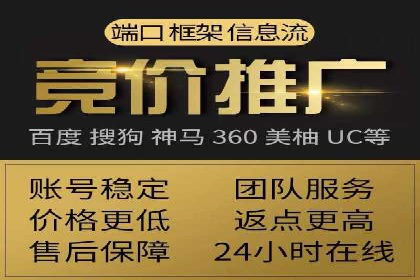 高效SEM托管服务：成功案例深度解析